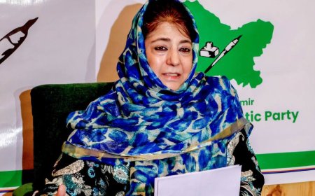 ‘Takes Time To De-Escalate’: Mehbooba Mufti On Cessation Of Hostilities Between India-Pakistan