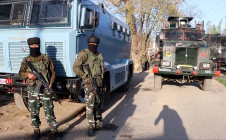 Shopian Encounter: 3 LeT Terrorists Killed In J-K`s Keller Forests, Search Operation Ongoing