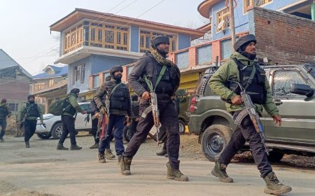 Big Success For Security Forces: LeT Commander Among 3 Terrorists Killed In Shopian Encounter