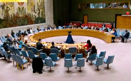 Pahalgam Attack: India To Push UNSC Case To Declare TRF As Terrorist Entity