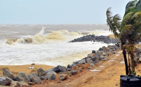 IMD Declares Early Southwest Monsoon Onset Over Bay Of Bengal And Andaman Sea