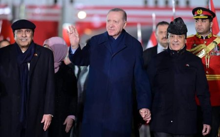'Crazy Islamist In Power...': Military Expert Slams Turkey Over Support To Pakistan