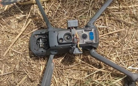 Crackdown On Pakistan: BSF, Punjab Cops Jointly Recover Suspected Drone On Tarn Taran Border