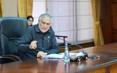 Pakistan Deputy PM Draws Flak After Citing Fake Image To Praise PAF In Parliament