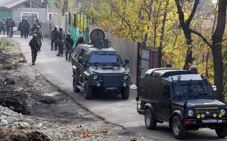 Close Coordination After Pahalgam Attack Led To Killing Of 6 Terrorists: Security Forces
