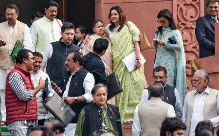 India To Expose Pakistan Globally; Delegations Of Multi-Party MPs To Meet World Leaders