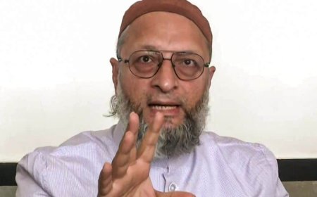 Owaisi Calls All-Party Delegation Visit `Important Task`, Says `Pakistan Wants To Destabilise India`
