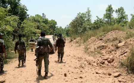 Massive Crackdown On Naxals In 21 Days: 31 Killed Near Chhattisgarh-Telangana Border