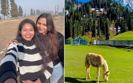 Jyoti Malhotra, Travel Blogger Accused Of Spying For Pakistan, Visited Pahalgam In January