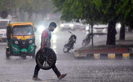 IMD Issues Rain Alert For South, Northeast, And Delhi; Heatwaves To Grip UP, Rajasthan And MP