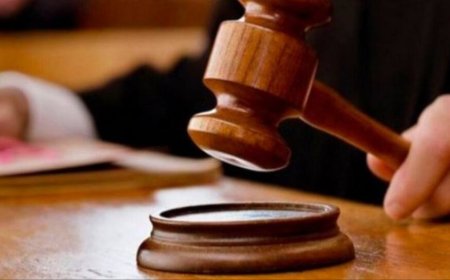 On Turkish Firm`s Plea Challenging Centre`s Move, Delhi Court`s `Better Safe Than Sorry` Remark