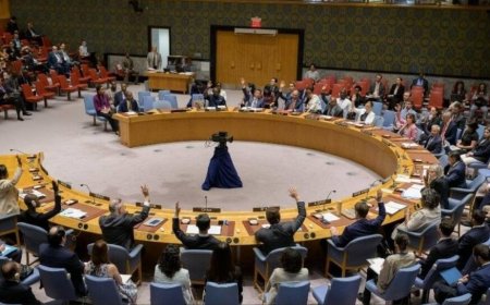 In Absurd Act, Pakistan Brings Up Indus River Issue At UNSC Amid Maritime Security Debate