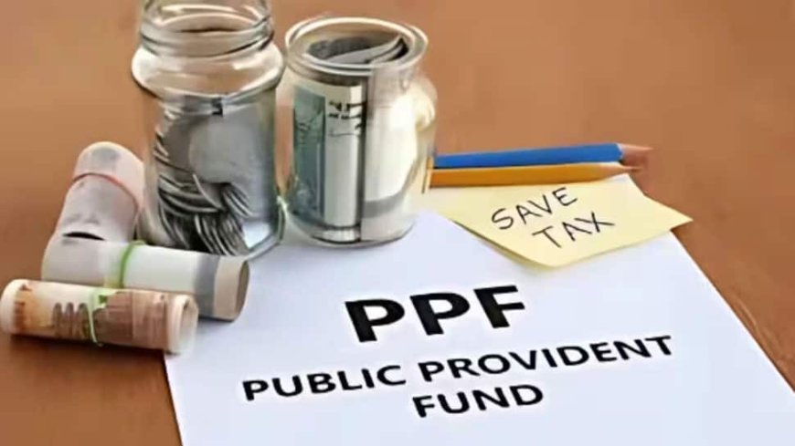 PPF New Rules: What If You Open Second Account By Mistake? Check Interest Rates For FY 2024–25