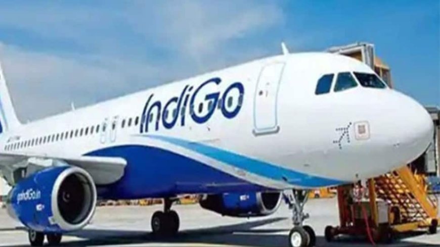 Passenger Behaves `Inappropriately` On Delhi-Shirdi IndiGo Flight With Staff, Airline Responds