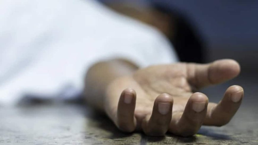 Gujarat: Four People Drown In Shetrunji River In Amreli
