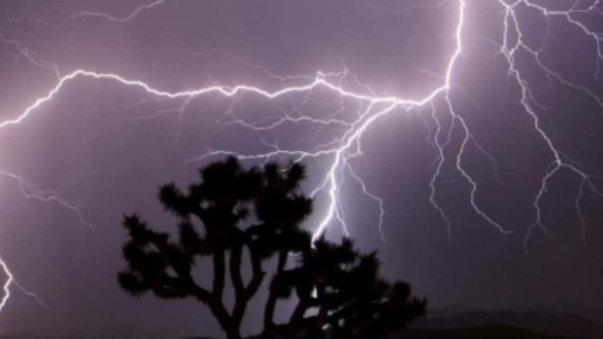 Three Killed, Four Injured In Lightning Strike Near Patna