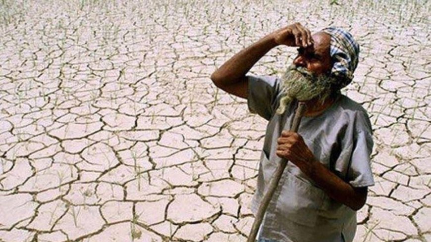 World`s Richest 10 Per Cent Responsible For Most Global Warming Since 1990, Study Finds