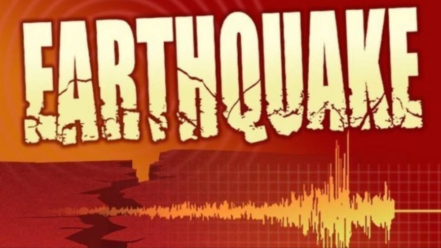 Earthquake Of Magnitude 4.0 Strikes Pakistan: NCS