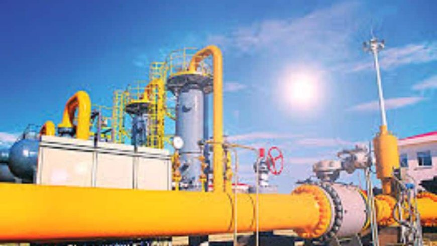 GAIL Clocks Q4 Net Profit Of Rs 2,049 Crore, Declares Final Dividend Of Rs 1