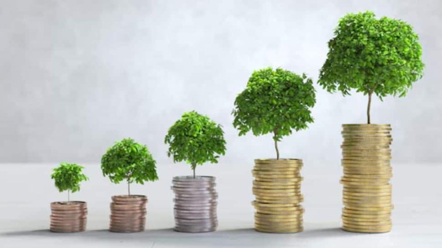 SBI MF Launches Nifty200 Quality 30 Index Fund – All You Need To Know