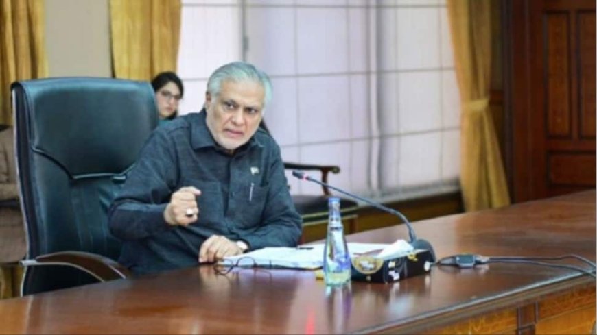 Pakistan Deputy PM Draws Flak After Citing Fake Image To Praise PAF In Parliament
