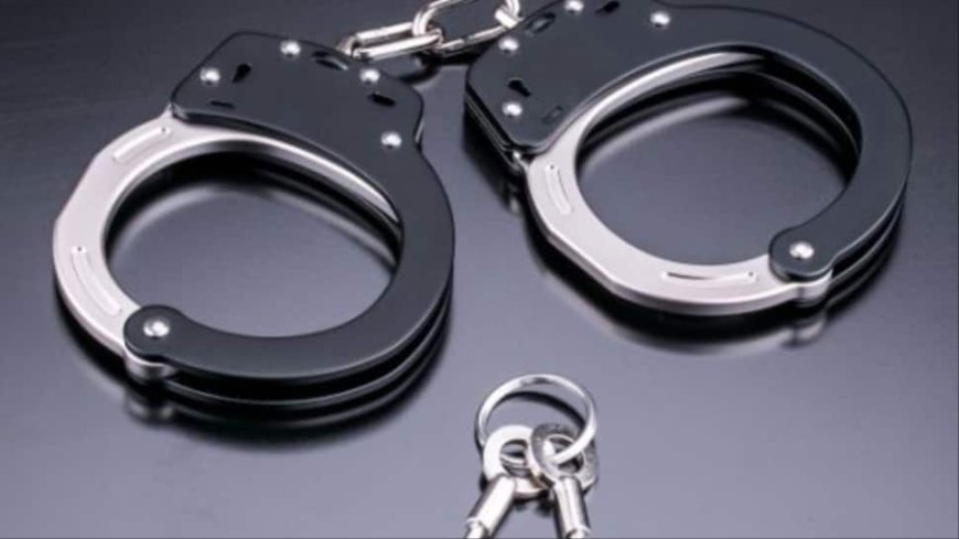 India-Pakistan Tension: Haryana Man Arrested For Passing Information To Pak Army, ISI During Conflict
