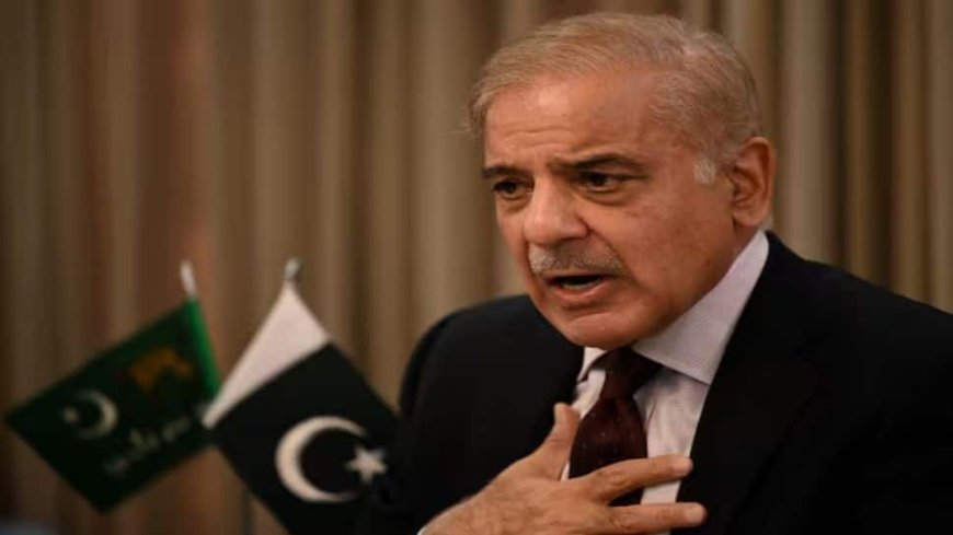 ‘They’ve Been Caught’: Pakistani Influencer Dismantles Shehbaz Sharif`s Ceasefire Story