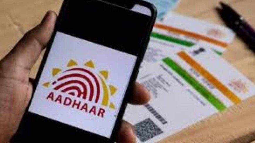 Secure Your Aadhaar Biometrics Online: Check How To Lock, Unlock Your Fingerprints, Iris Details
